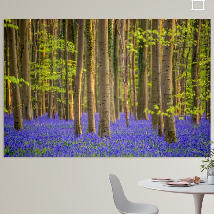 Wanddecoratie - Lente in het Hallerbos (België)