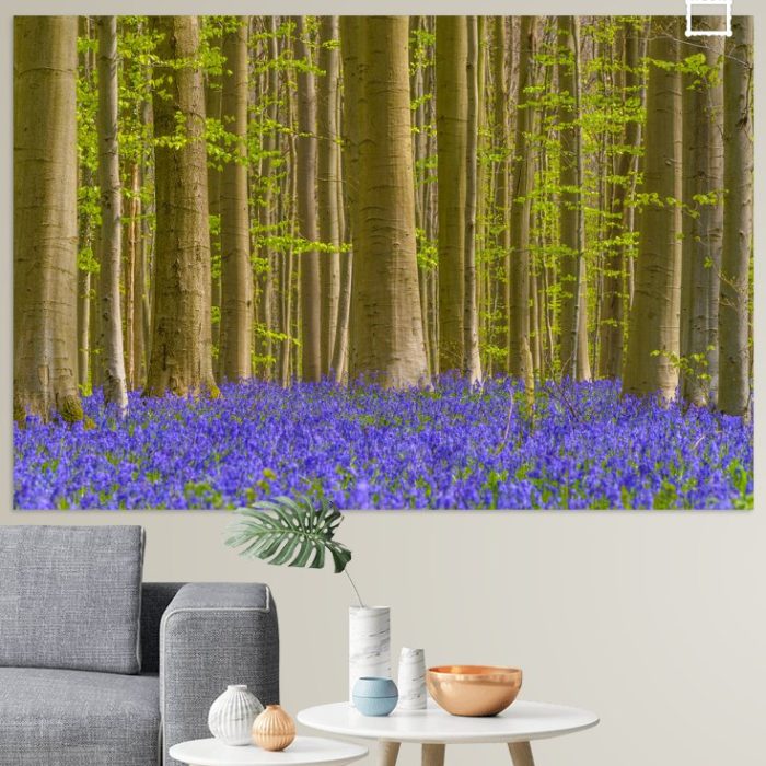 Wanddecoratie - Boshyacinten Hallerbos (België)
